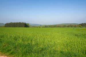 Traumschleife Saar-Hunsrück Traumschleife Saar-Hunsrück